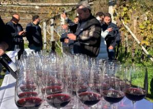 Voyage viticole et gourmet au Tessin