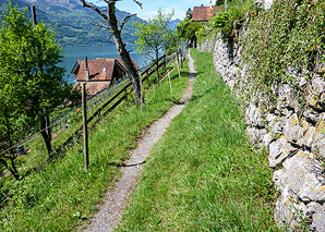 Wine tour on the Walensee