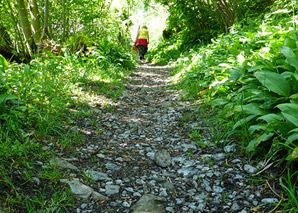 Excursion viticole au lac de Walensee