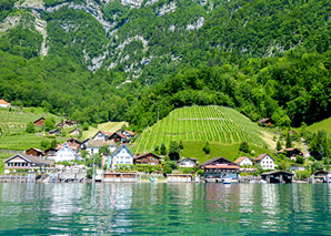 Wine tour on the Walensee