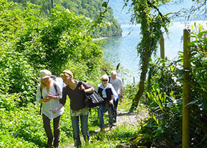 Excursion viticole au lac de Walensee