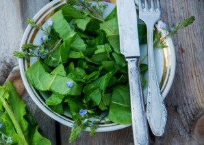 Wild herbs experience cookery course
