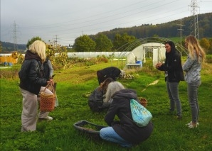 Wildkräuter-Workshop mit Brunch