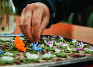 Wildkräuterapéro im Weinkeller