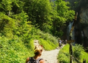 Wild herb hike to a place of power