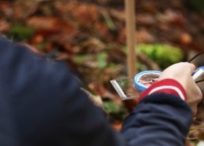 Wildpflanzen-Trail - Spass in der Natur