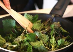 Cuisiner et savourer des plantes sauvages