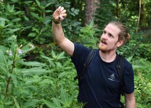 Cooking and savouring wild plants