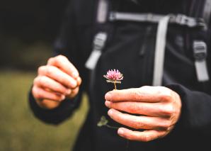 Cooking and savouring wild plants