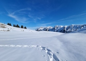 Winter team experience: snowshoe tour