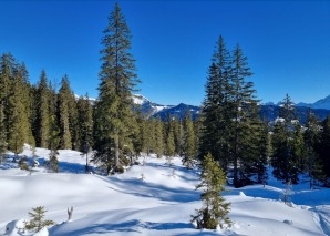 Winter team experience: snowshoe tour