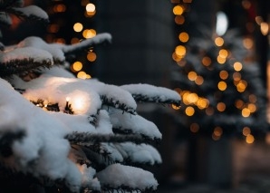 Winterwald-Erlebnisse für Teams