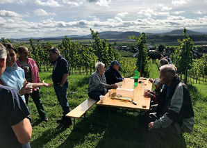 Visite du vignoble en collaboration avec le vigneron