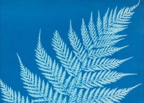 Kreativ-Workshop: Magische Bilder in Cyanblau