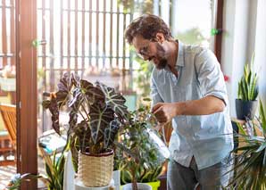 Nurturing and caring for houseplants