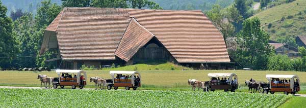 An Emmental grill by horse and cart