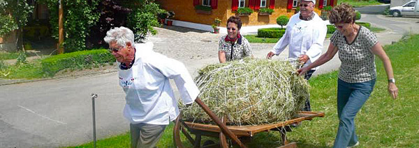 Bauernhofspass mit Essen im Tenn