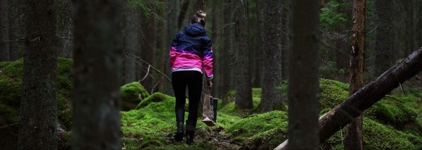 Challenge en équipe de survie « Plantes sauvages comestibles »