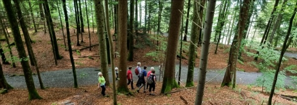 Achtsamkeitstraining im Wald