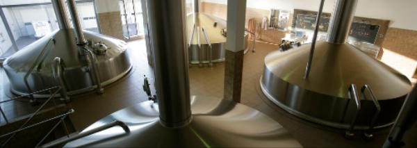 Brewery tour and beer tasting in St. Gallen