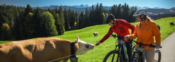 Animal safari with the e-bike