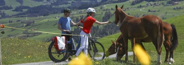 E-Bike-Tiersafari im Appenzellerland