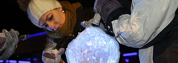 Ice sculpture workshop