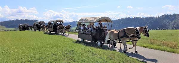 Journée aventure avec jeux en équipes dans l'Emmental