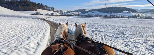 Romantische Fahrt zum Fondueplausch