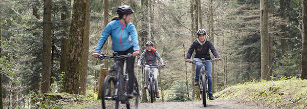 E-Mountain-Bike-Plausch für Gruppen