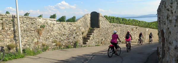 Tour guidé en vélo électrique dans le Val-de-Travers