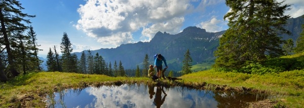 Forest expedition in the Muotathal