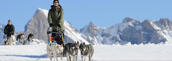 Huskyplausch im Toggenburg