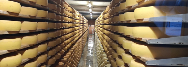 Un délicieux tour avec du fromage, du chocolat et du vin