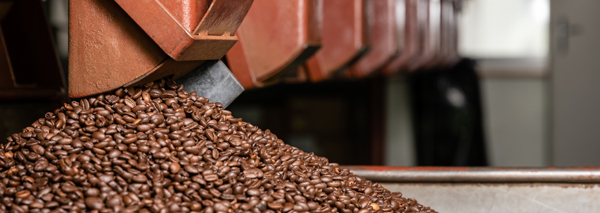 Atelier de café avec du café biologique