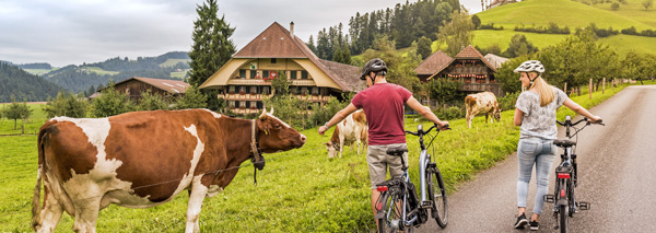 Kambly e-bike tour with sweets tasting