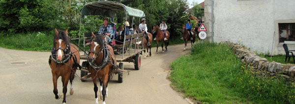 Carriage ride Jura