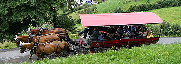 Balade en calèche au lac des Quatre Cantons