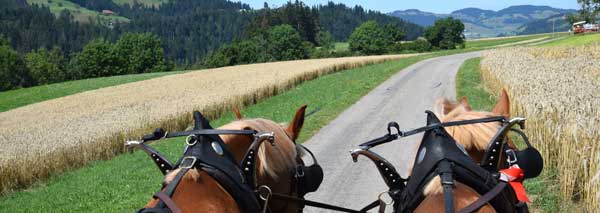 Horse-drawn carriage to the Kambly factory