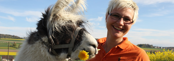 Conduire des lamas - training de gestion avec des animaux