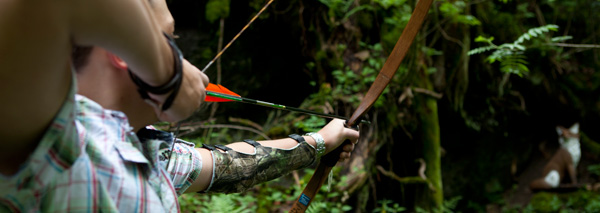 Bow and arrow in Entlebuch