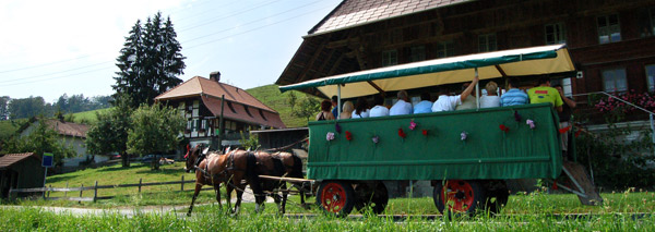 Tour en calèche dans la région idyllique de l'Emmental avec repas