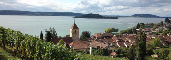 Weinrundgang in Twann mit kalter Platte