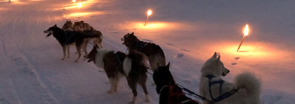 Sortez du bureau et vivez une aventure unique avec des Huskies