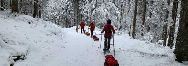 Snowshoe hike in the Jura