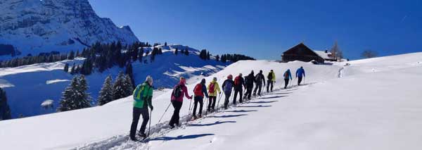 Snowshoe tours in the Appenzellerland