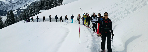 Divertissement en raquettes et au chalet d'alpage à Adelboden