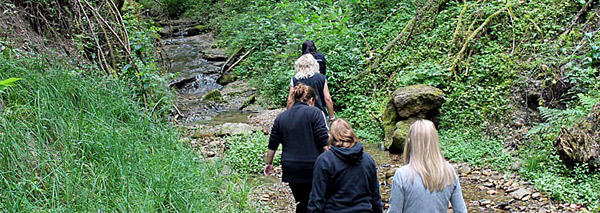 Séminaire en Emmental avec activités diverses