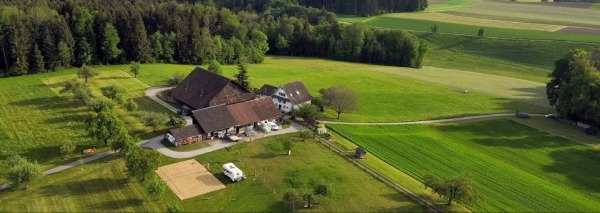 Team cooking course in the countryside