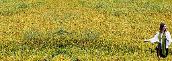 Besuch der Reisfelder mit Weindegustation